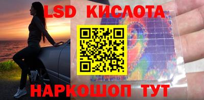стафф Новокубанск