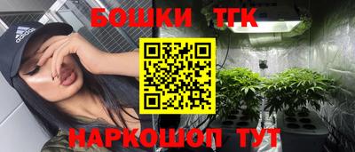 альфа пвп Новодвинск