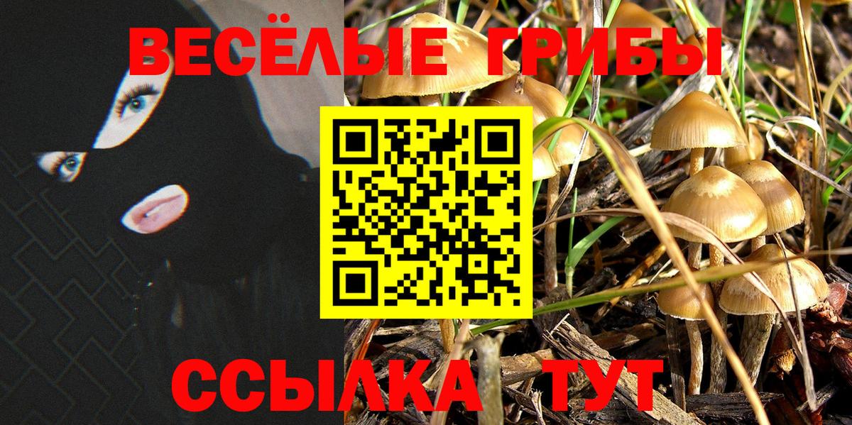 Галлюциногенные грибы Psilocybine cubensis  Псилоцибиновые грибы Cubensis  Вход с VPN  Ступино 